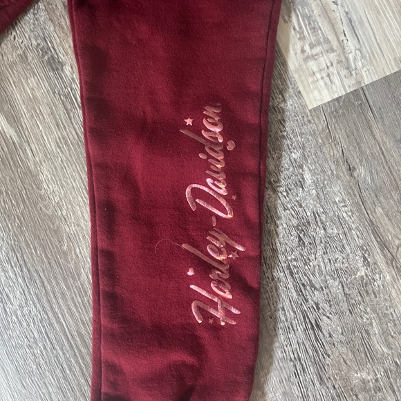 Harley-Davidson 2/3T Toddler Sweatsuit - Picture 2 of 5